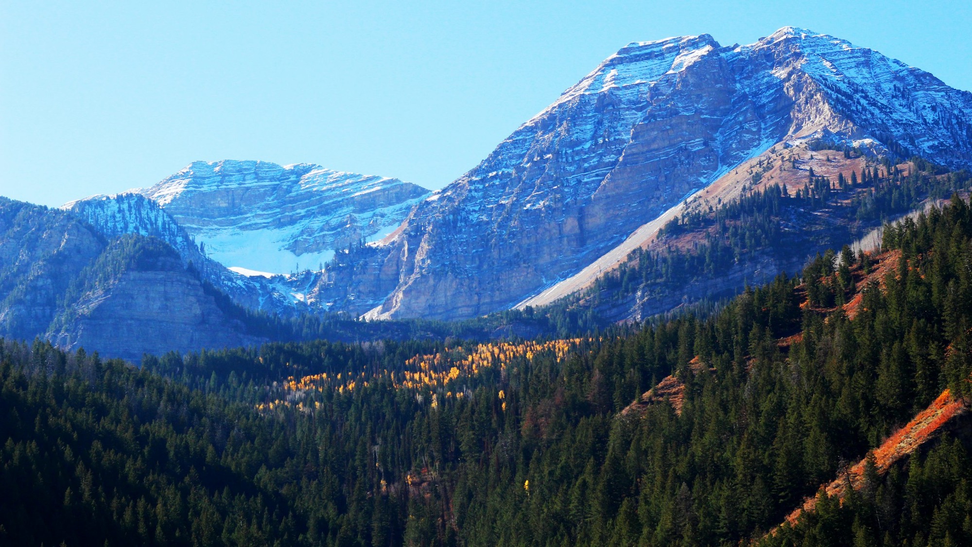 Mount Timpanogos above autumn forest in Utah County