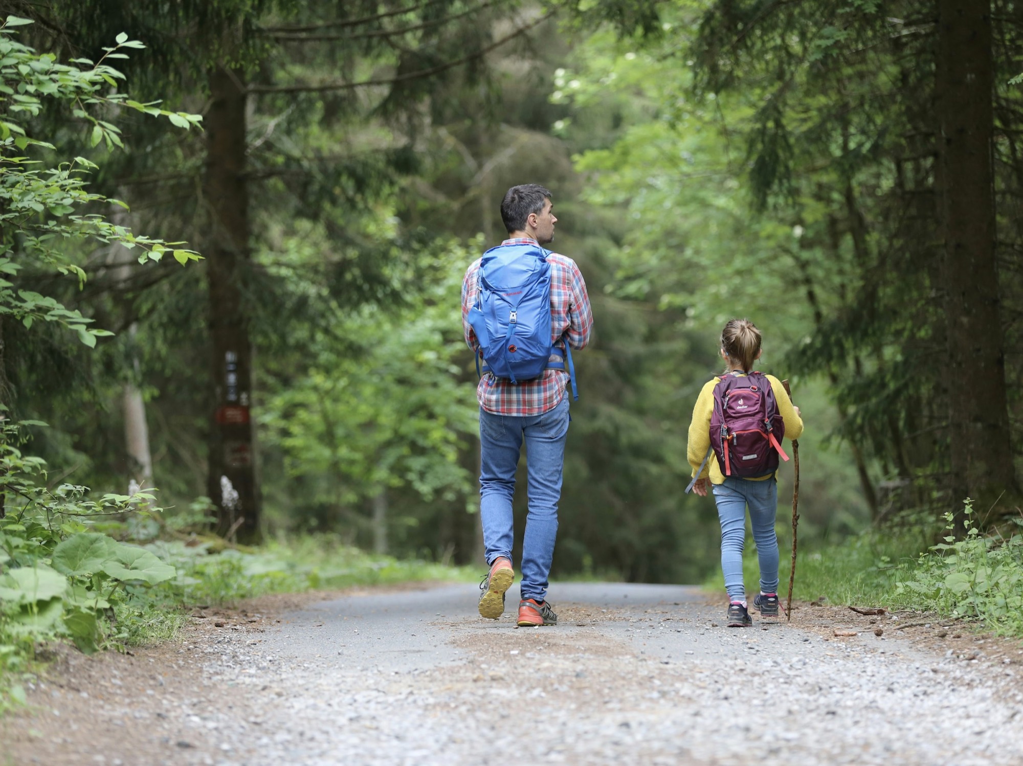 Father and daughter hiking a forest trail together