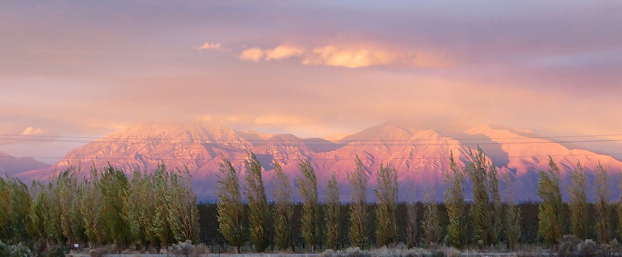 Rows of tall poplar trees along U.S. Route 6 in Santaquin, Utah, with snow-covered mountains glowing pink at sunset
